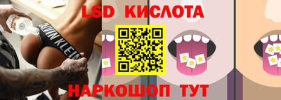 СК Владивосток
