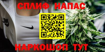 СК Владивосток